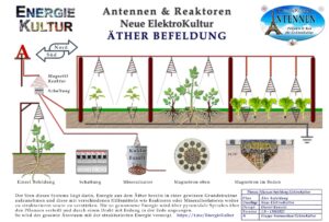 Magnetit Antennen der ElektroKultur