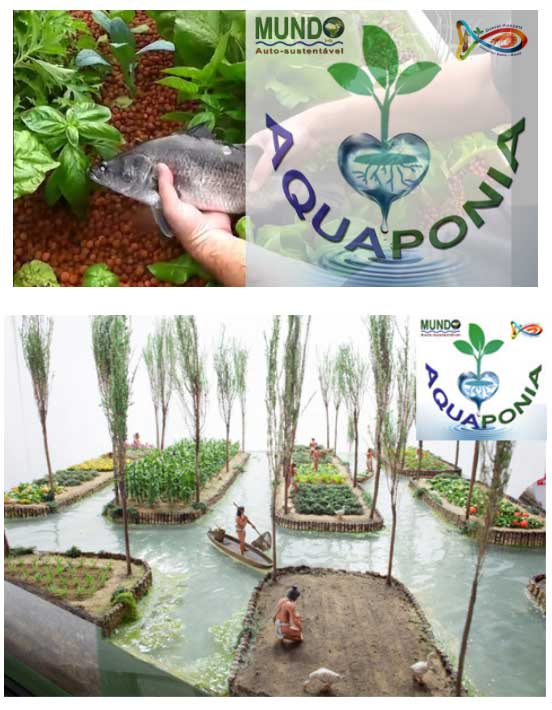 City Farm Wasserkultur