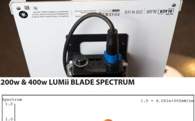 Pflanzen Beleuchtung